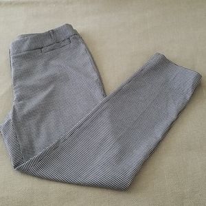 NWT Jones New York  Ankle Pant